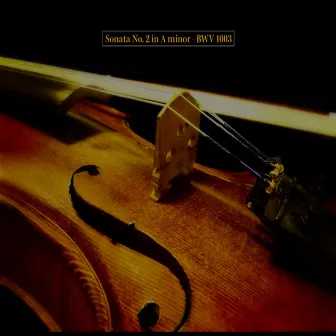 Bach: Sonata No. 2 in A minor, BWV 1003 by I Like Bach