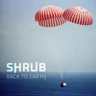 Back to Earth by Shrub