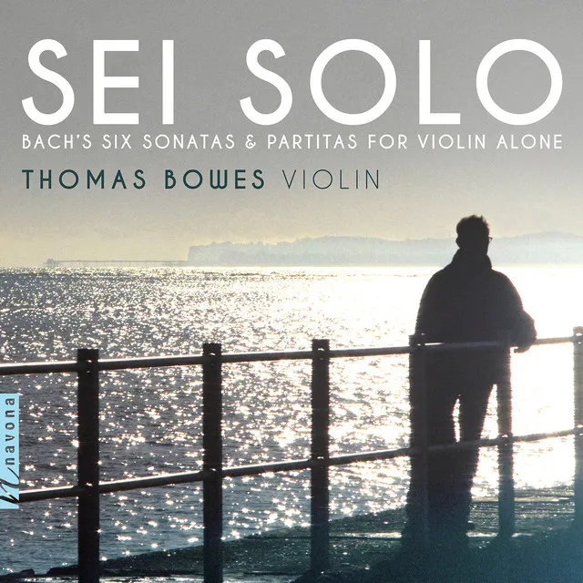 Violin Sonata No. 1 in G Minor, BWV 1001: III. Siciliana