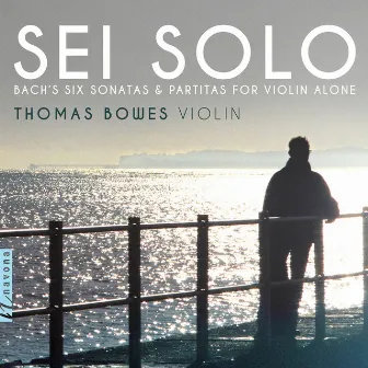 Sei Solo by Thomas Bowes