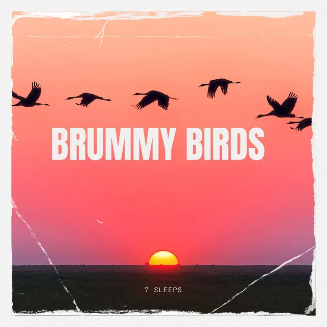 Brummy Birds