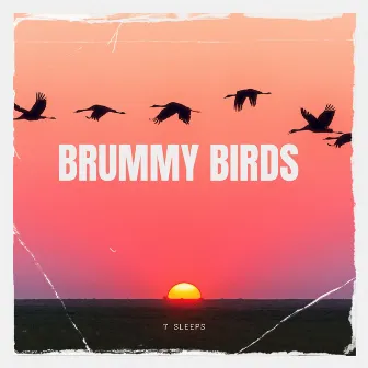 Brummy Birds by 7 Sleeps