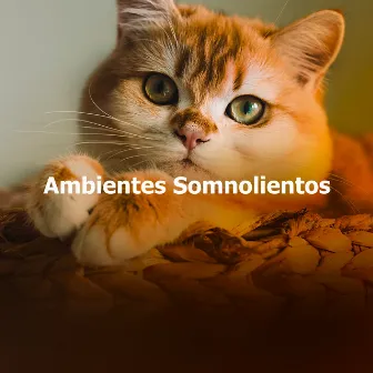 Ambientes Somnolientos by Sueño Latino