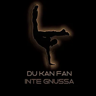 Du kan fan inte gnussa by Swedish Dance Mafia