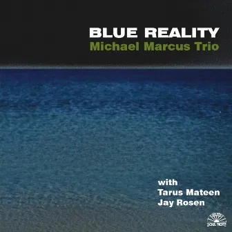 Blue Reality by Michael Marcus