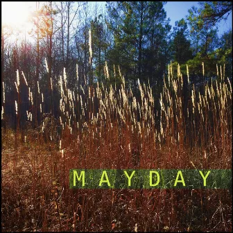 May Day by Sumner James