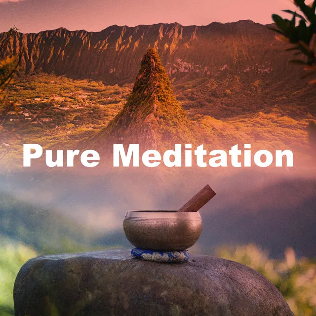 Pure Meditation