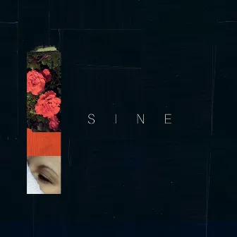 Sine by Matilde Davoli