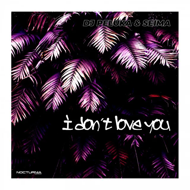 I don´t love you - Seima Remix