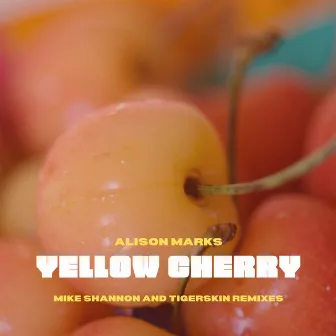 Yellow Cherry by Alison Marks