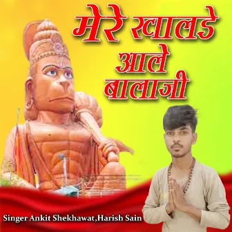 Mere Khalde Aale Balaji by Harish Sain