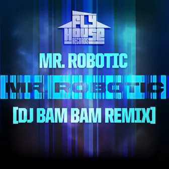 Mr.Robotic (DJ Bam Bam Radio Remix) - Single by Mr.Robotic