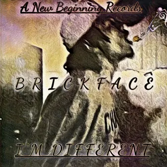 I'm Different by BrickFace