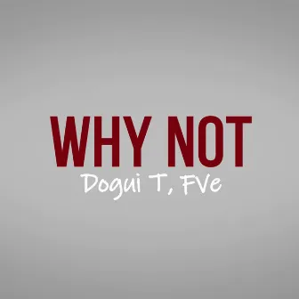 Why Not by Dogui T