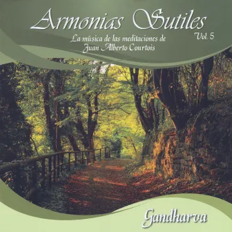 Armonias Sutiles, Vol. 5 (la Música de las Meditaciones de Juan Alberto Courtois) by Gandharva