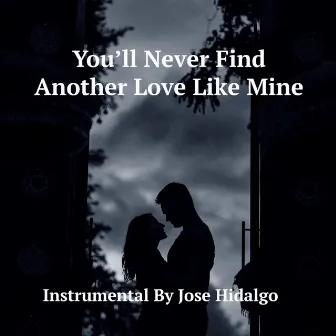 You'll Never Find Another Love Like Mine by Jose Hidalgo