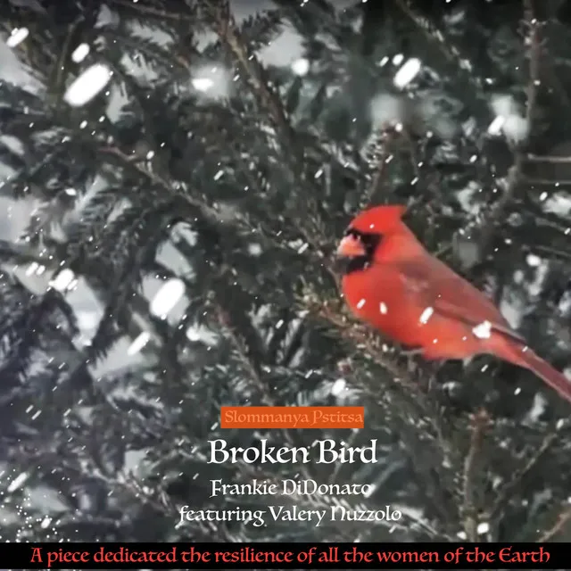 Broken Bird