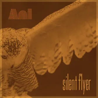 Silent Flyer by Ani