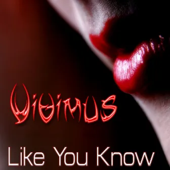 Like You Know by Vivimus