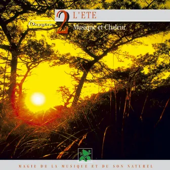 Oxygène 2 : L'été, musique et chaleur (Magie de la musique et du son naturel) by Philippe Bestion