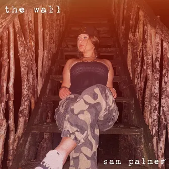 The Wall by Sam Palmer