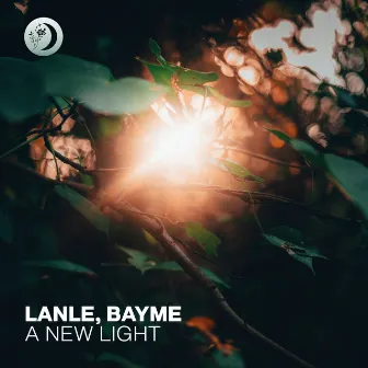 A New Light by Lanle