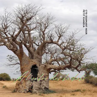 à l'ombre des baobabs by CTD Diamant Noir