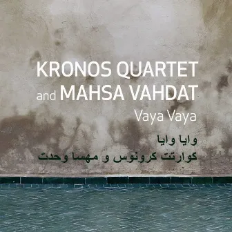 Vaya Vaya by Mahsa Vahdat