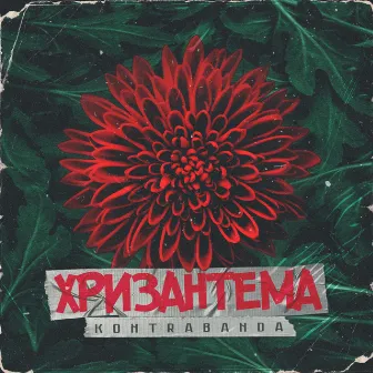 Хризантема by Kontrabanda