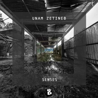 Senses by Unam Zetineb