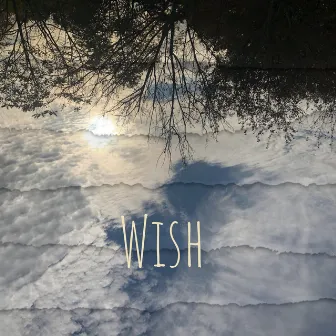 Wish by Devaughn