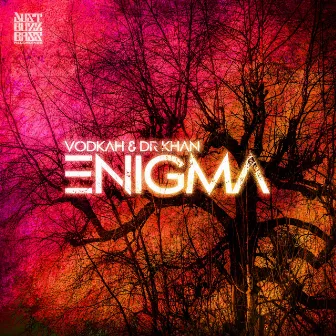 Enigma by Dr Khan