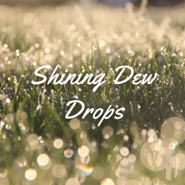 Shining Dew Drops - 1 hour