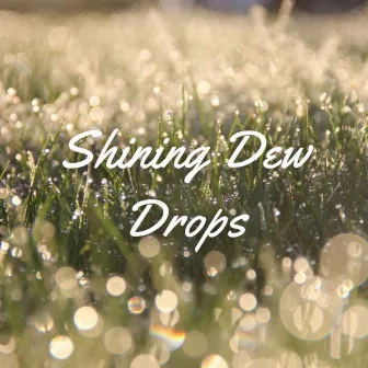 Shining Dew Drops - 1 hour by Waters Of Deluge