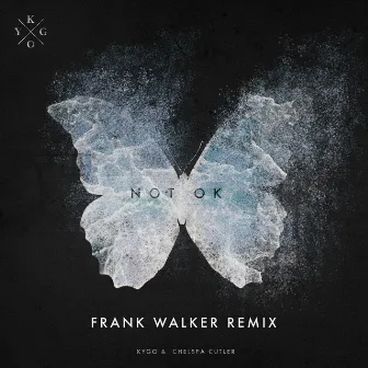 Not Ok (Frank Walker Remix) by Frank Walker