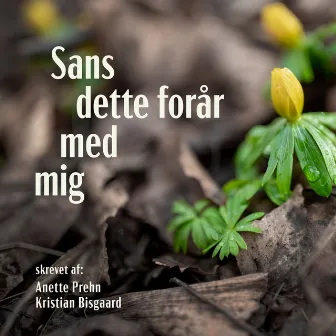 Sans dette forår med mig by Kristian Bisgaard