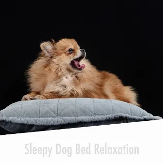 Sleepy Dog Bed Relaxation by Calming Doggy Sleep