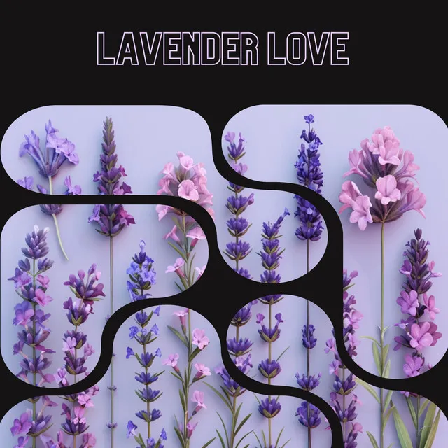 Lavender Love - Floral Health