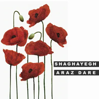 Shaghayegh by Araz Dare