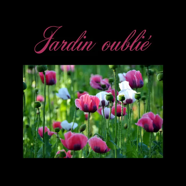 Jardin oublié (Musique épique de zen - Chant des oiseaux, Rivière coulante, La cascade, Nature orientale)