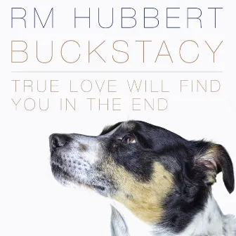 Buckstacy by RM Hubbert