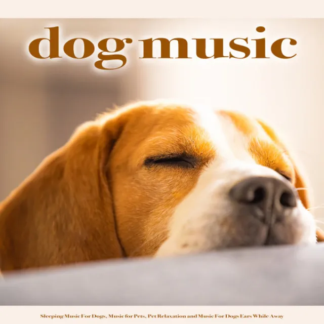 Sleeping Music For Dogs