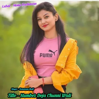 Number Deja Chunni Wali by Monu Pachwara