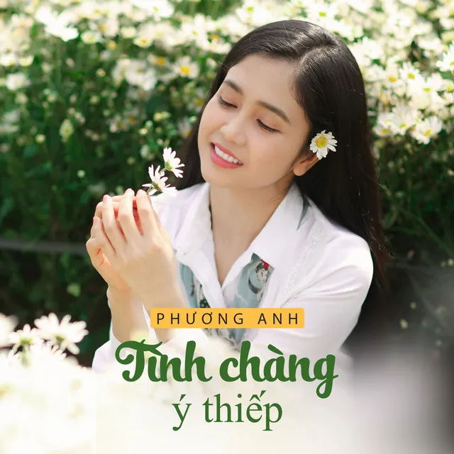 Trường Cũ Tình Xưa