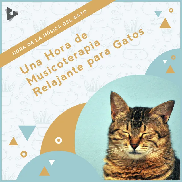 1 Hora de Musicoterapia Relajante para Gatos