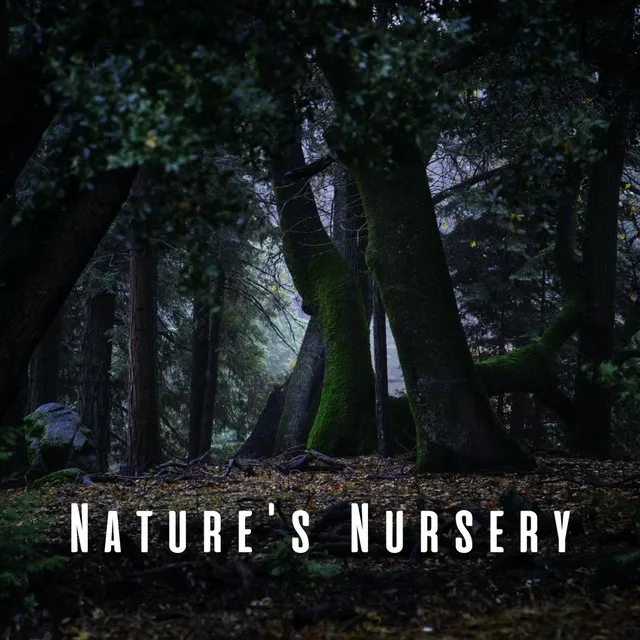 Nature's Nursery: Chill Music with Rain and Insect Melodies for Baby