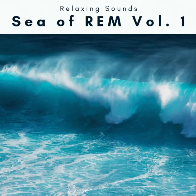 Sea of REM Vol. 1