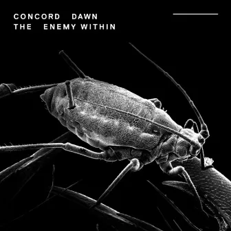 The Enemy Within by Concord Dawn