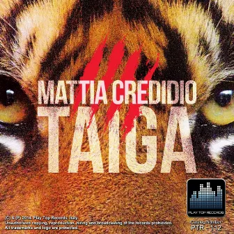 Taiga by Mattia Credidio