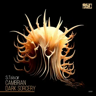 Cambrian / Dark Sorcery by S.Tsisar